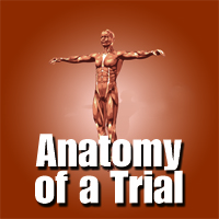 Anatomy of a Trial