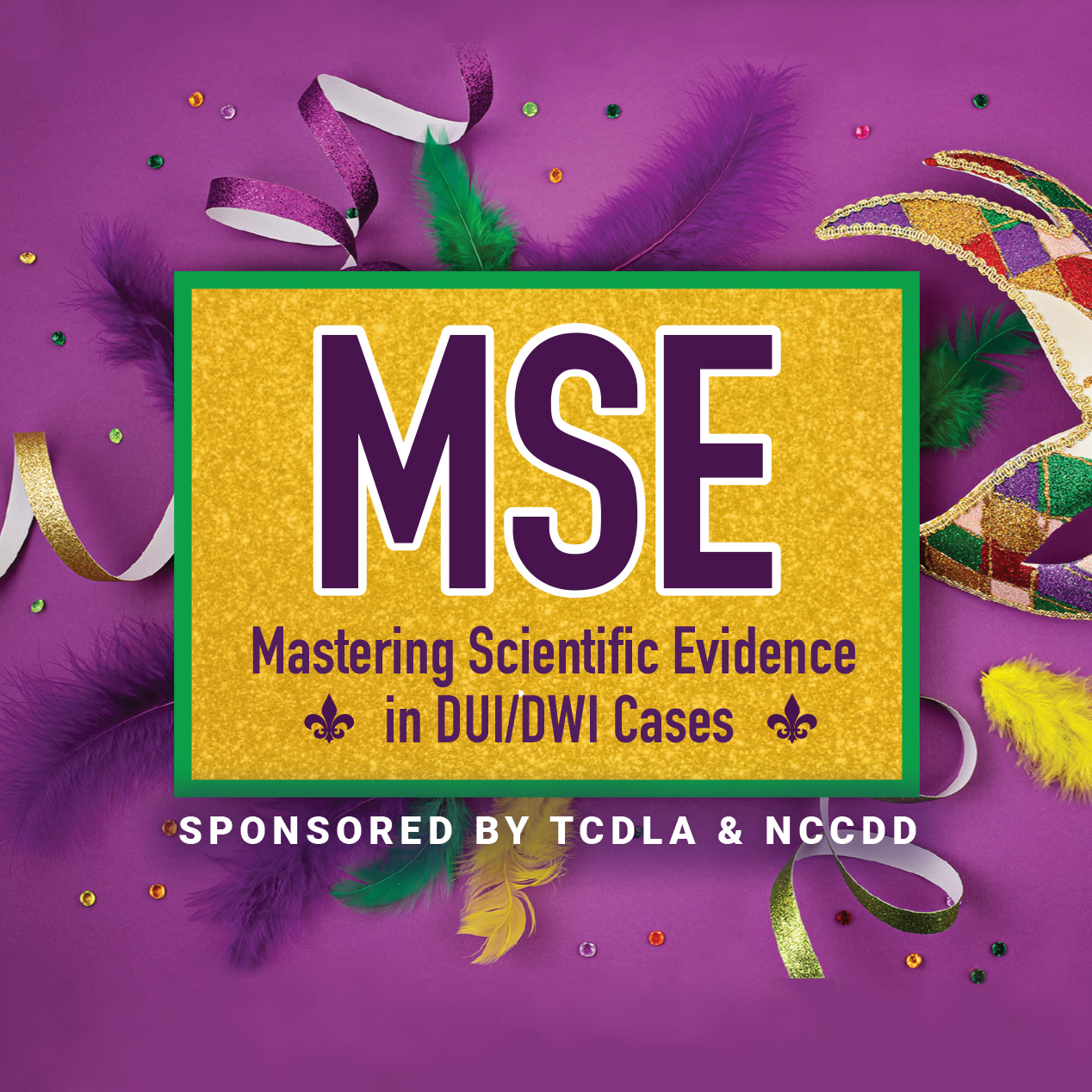 28th Annual MSE