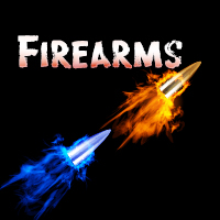 FIREARMS: LOCK, STOCK AND BARREL. DEFENDING GUN CASES